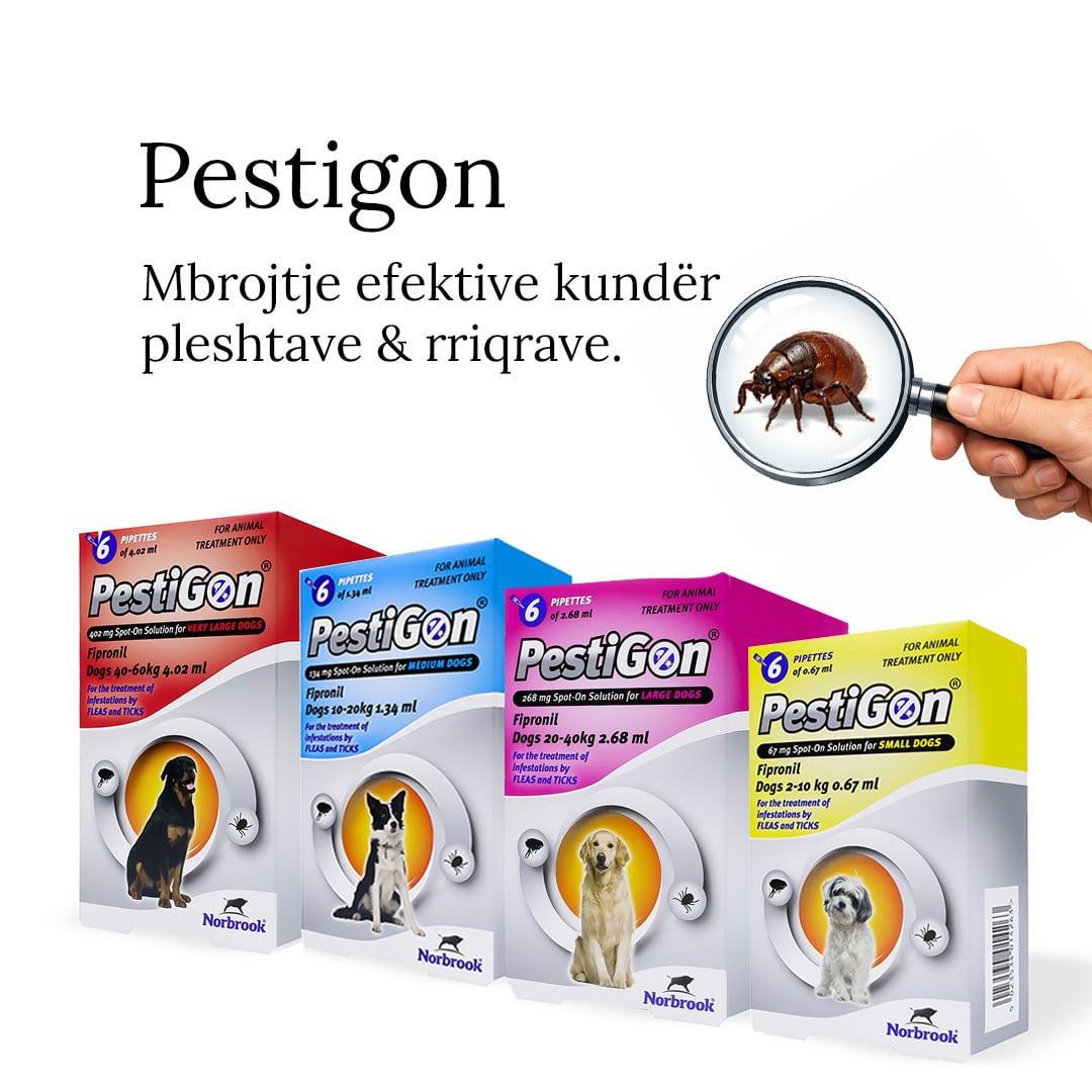 Pestigon post: effective protection against fleas and ticks