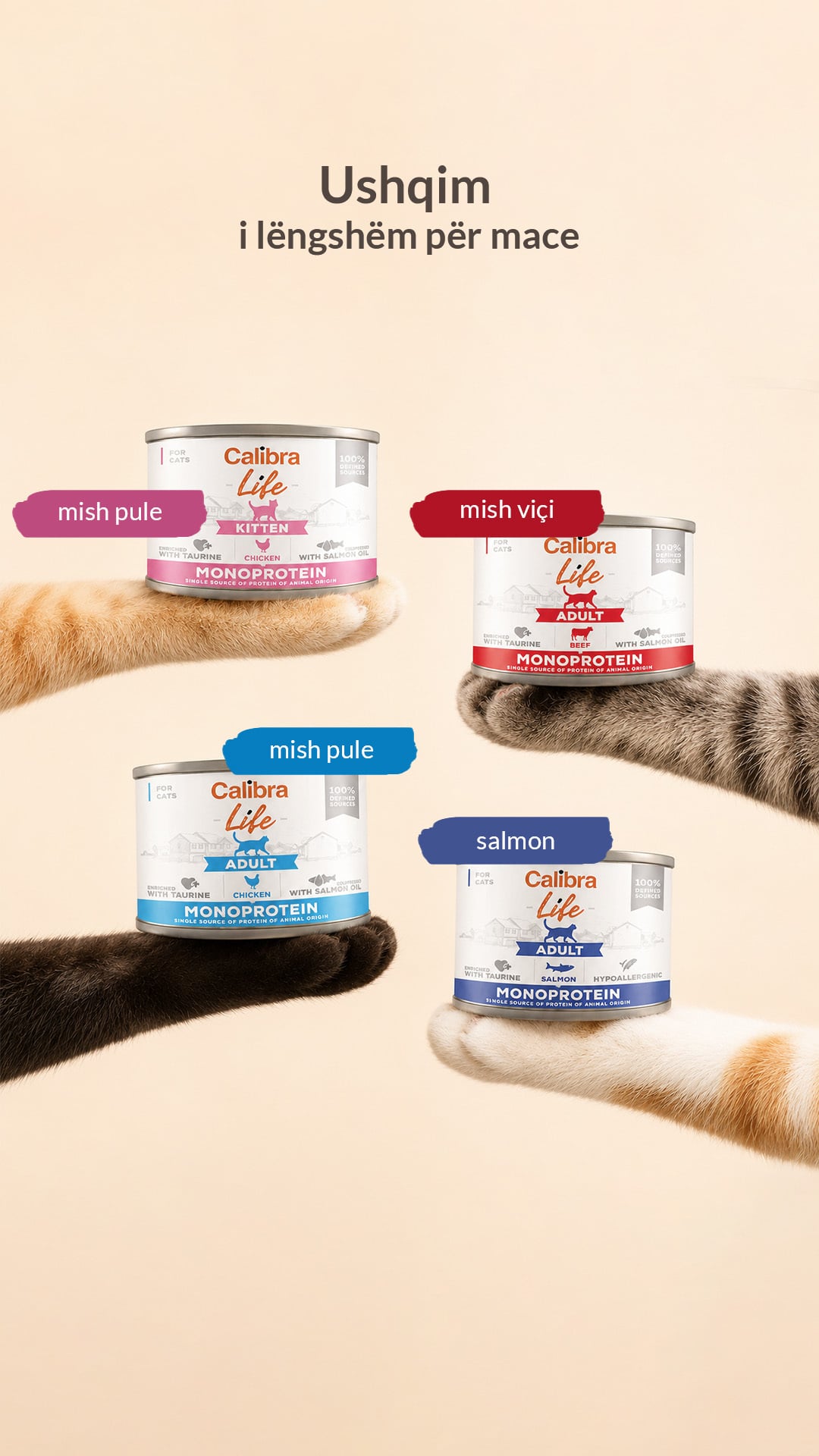 Wet cat food story with cans held up by paws